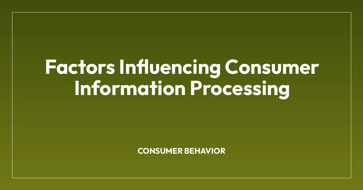 Factors Influencing Consumer Information Processing